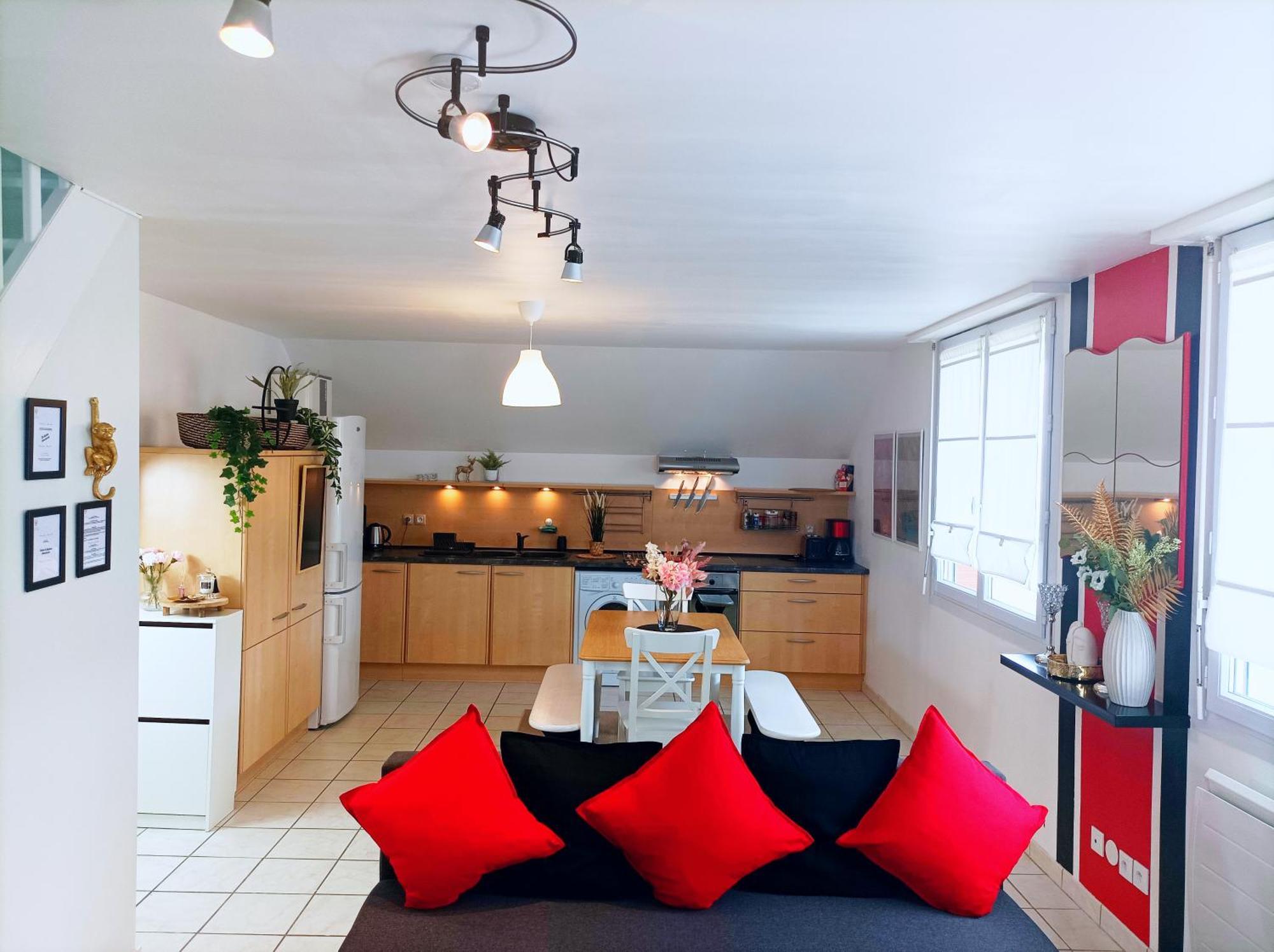 Le Duplex Decontracte Daire Fleury-les-Aubrais Dış mekan fotoğraf